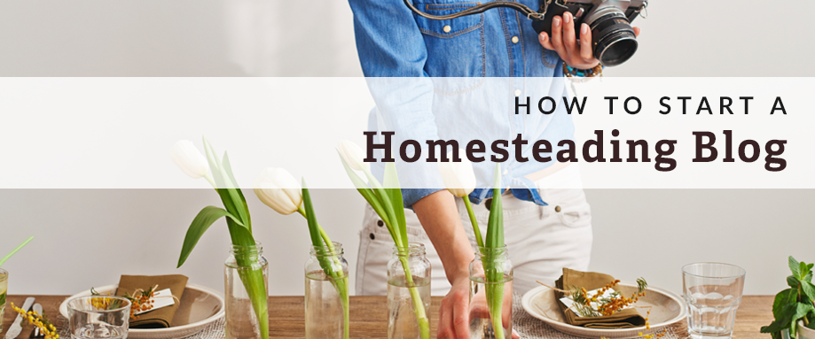 start a homesteading blog