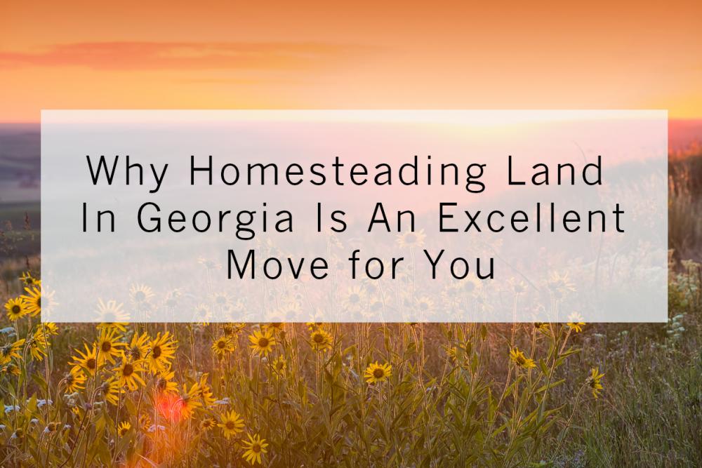 Why Homesteading Land In Georgia Is An Excellent Move for You