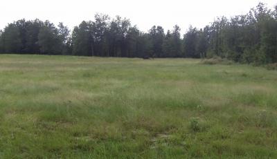 Hurdle Land for Sale in Aiken County, South Carolina