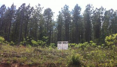 Hurdle Land for Sale in Coffee County, Tennessee
