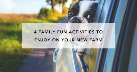 4 Family Fun Activities to Enjoy on Your New Farm