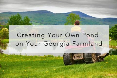 Creating Your Own Pond on Your Georgia Farmland