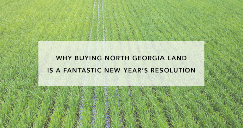 Why Buying North GA Land Is a Fantastic New Year&#039;s Resolution