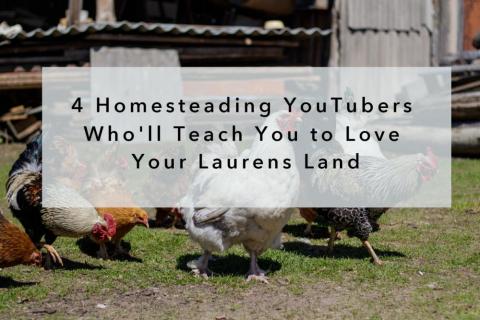 4 Homesteading YouTubers Who&#039;ll Teach You to Love Your Laurens Land