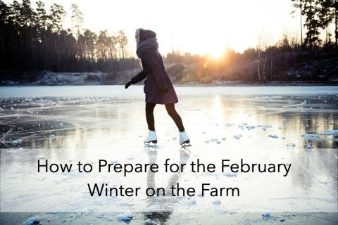 How to Prepare for the February Winter on the Farm