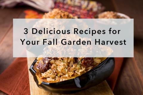 3 Delicious Recipes for Your Fall Garden Harvest