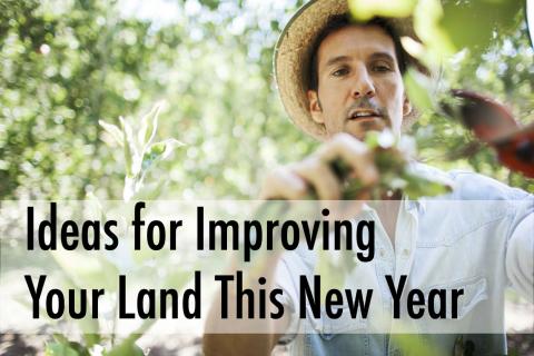 Ideas for Improving Your Land This New Year