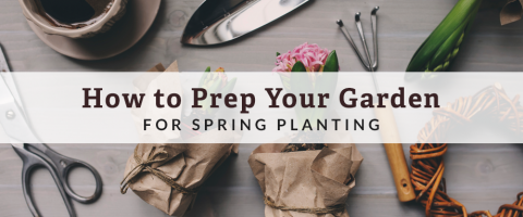 prep garden for spring planting