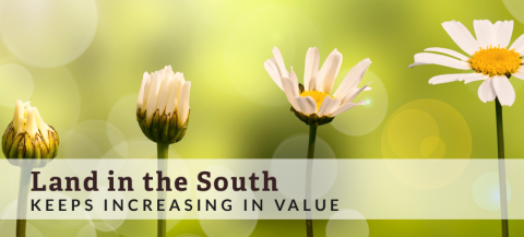 southern land increases in value