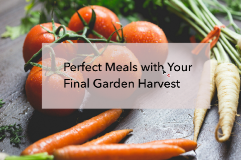Perfect Meals with Your Final Garden Harvest