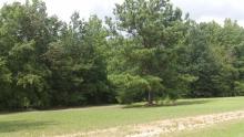 Hurdle Land for Sale in Coffee County, Tennessee