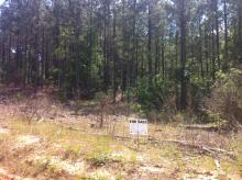Hurdle Land for Sale in Newton County, Georgia