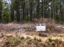 Hurdle Land for Sale in Laurens County, South Carolina