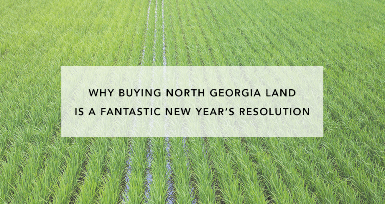 Why Buying North GA Land Is a Fantastic New Year's Resolution