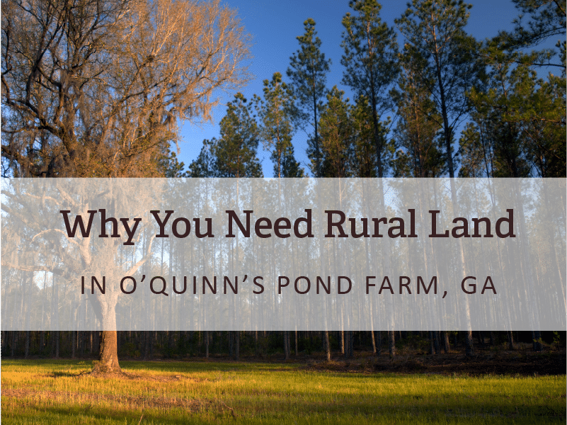 Why You Need Rural Land in O’Quinn’s Pond Farm, GA
